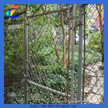 PVC&Galvanized Chain Link Fence